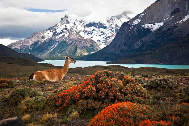 Argentina - Hình ảnh đẹp