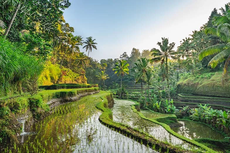 Bali - Khung cảnh tuyệt đẹp