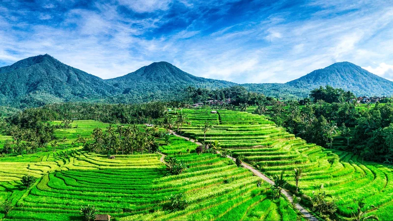 Bali - Khung cảnh tuyệt đẹp