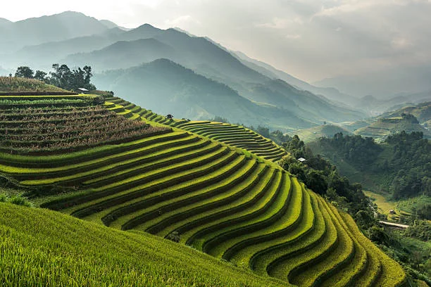 Cambodia - Khung cảnh tuyệt đẹp