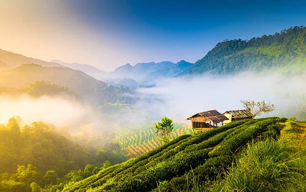 Chiang Mai - Hình ảnh đẹp