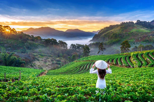 Chiang Mai - Khung cảnh tuyệt đẹp