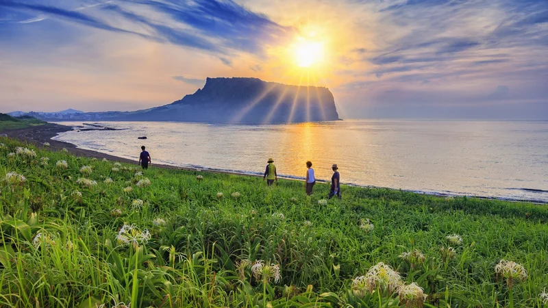 đảo Jeju - Khung cảnh tuyệt đẹp