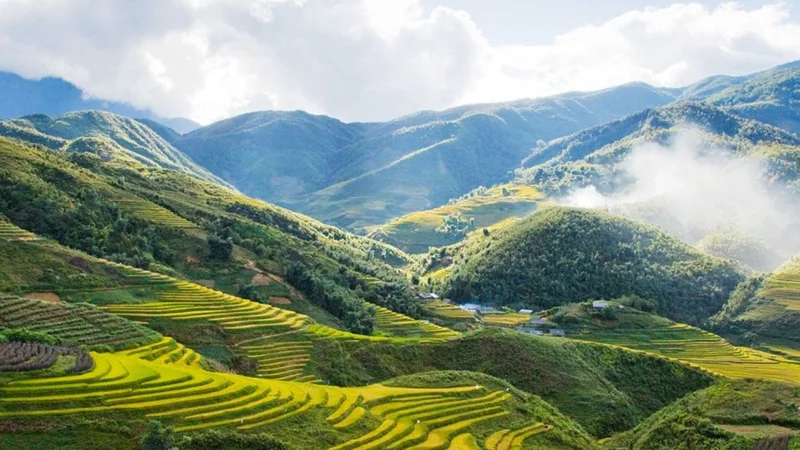 Hoa Liên - Khung cảnh tuyệt đẹp