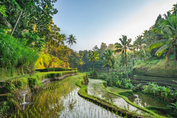 Indonesia - Khung cảnh tuyệt đẹp