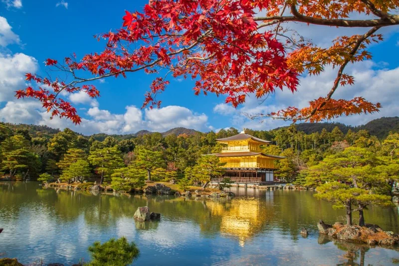 Kyoto - Hình ảnh đẹp