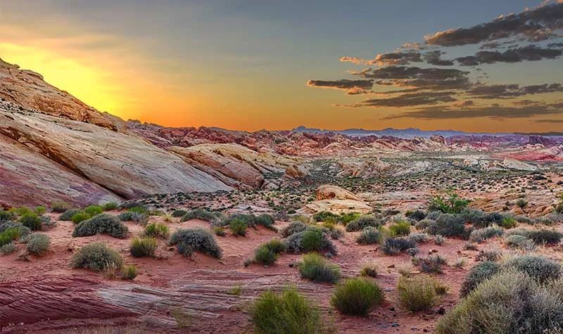 Las Vegas - Hình ảnh đẹp