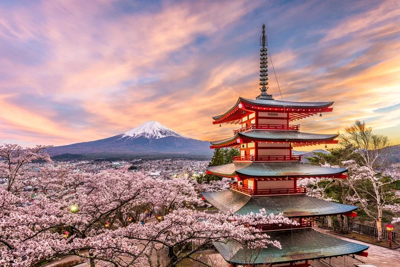Tokyo - Khung cảnh tuyệt đẹp